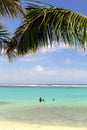 Stock image of Waikiki Beach, Honolulu, Oahu, Hawaii Royalty Free Stock Photo