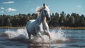 White Horse in Water - Elegance & Power, River Splendor, Wild Stallion, Nature\'s Dance, Equine Majesty, Summer\'s Freedom