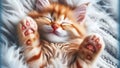 Ginger Slumber: A Cute Kitten\'s Tranquil Rest in Soft Furscape