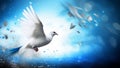 Harmony in the Skies: Dove of Peace in Morning Light