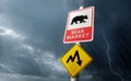 Stock Market Crash - Bear Market Royalty Free Stock Photo