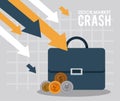 Stock market crash with portfolio and infographic
