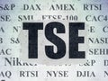 Stock market indexes concept: TSE on Digital Data Paper background