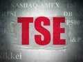 Stock market indexes concept: TSE on Digital Data Paper background