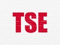 Stock market indexes concept: TSE on wall background