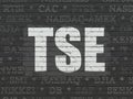 Stock market indexes concept: TSE on wall background