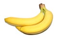 Stock photo bunch of bananas on white background
