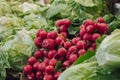 Stock photo of a bunch of radishes in a market Royalty Free Stock Photo