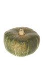 Stock Photo of Buttercup Squash Royalty Free Stock Photo