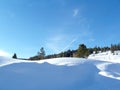 Stock Photo of Colorado Vail Pass Winter Landscape