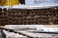 Stock photo of cow dung cake patties drying on wall under bright sunlight at India village area, picture capture during summer