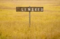 Stock Photo Linseed Growing in a Field with Rustic Wooden Sign