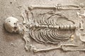 Stock Photo - exploration of ancient human skeleton Royalty Free Stock Photo