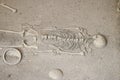 Stock Photo - exploration of ancient human skeleton
