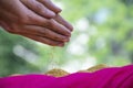 Stock photo of a farmer hand holding foxtail millets in his hand and pouring on pink color cloth in bright natural light ,focus on