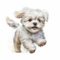 Pure and Playful: Maltese Puppy Watercolor Style, Isolated on White background - Generative AI