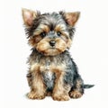 Charming Yorkie Pup in Watercolor, Isolated on White background - Generative AI