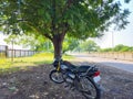 Stock photo of Hero Honda Splender bike parked under tamarind tree shadow beside the road.