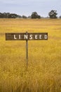 Stock Photo Linseed Crop Growing in a Field with a Rustic Sign