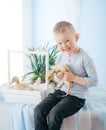 Little boy play with gosling indoors in spring