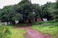 Stock photo of an old abandoned brick house or cottage in the forest area covered under banyan tree and mango tree, small red soil Royalty Free Stock Photo