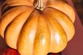 Stock photo pumpkin close-up, assorted pumpkins. Big and small size pumpkins and different colors, on a brown background