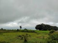 Stock photo of scenic landscape on top of the hill, land cover with green grass, plants with big banyan tree. Dark clouds on