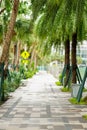 Stock photo scenic walkway through a Miami city scene