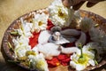 Stock photo of a silver shivlinga which is icon of lord shiva snake above shivlinga, being worshiped flowers and cotton garland on