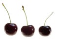 Three Cherries Isolated on White Background Royalty Free Stock Photo