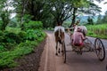 Stock photo of 50 to 60 aged old Indian farmer wearing casual cloths and turban riding old bull cart on road in monsoon period , Royalty Free Stock Photo