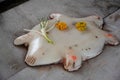 Stock photo of tortoise white marble statue or idol on floor in front of lord shiva temple at Kolhapur, Maharashtra, India. Idol Royalty Free Stock Photo