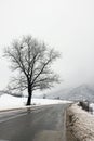 Winter in Serbia near Bor