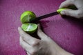 Stock photo of women cutting fresh juicy lemon on purple color chopping board with yellow color knife , focus on object. blur Royalty Free Stock Photo