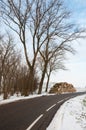 Stock pile sawed trees along the side of the road in winter