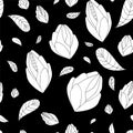 Stock seamless doodle floral pattern. black and white Royalty Free Stock Photo
