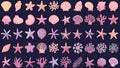 Illustration features a collection of seashells, starfish, and coral designs Royalty Free Stock Photo