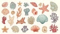 Illustration featuring various sea-themed elements including diverse seashells Royalty Free Stock Photo
