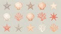 Illustration featuring a variety of marine-themed designs on a light gray background Royalty Free Stock Photo
