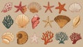 Colorful illustrated collection of seashells, starfish, and corals against a beige background Royalty Free Stock Photo