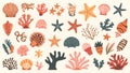 A collection of illustrated seashells and marine life elements arranged on a light background Royalty Free Stock Photo