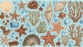 Illustration features a variety of seashells, starfish, and coral in earthy tones against a light blue background Royalty Free Stock Photo