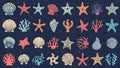 Illustration featuring a variety of seashells, starfish, and coral designs on a dark blue background Royalty Free Stock Photo