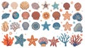 A colorful illustration of various seashells, starfish, and coral. Royalty Free Stock Photo