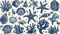 Illustration features various marine elements, including seashells, starfish, coral, and fish Royalty Free Stock Photo