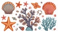An illustration of marine elements featuring various seashells, starfish, and corals. Royalty Free Stock Photo
