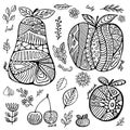 Stock set of fruit with cherry, pear, peach, apple, leaf