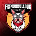 stock vector angry french buldog gaming esport logo template