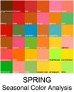 Stock vector color guide with color names. Seasonal color analysis palette for spring type. Type of female appearance