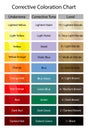 Stock vector corrective coloration chart. Hair dye numbering system